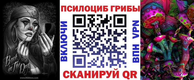 Псилоцибиновые грибы Cubensis  Купить закладки  Безенчук 