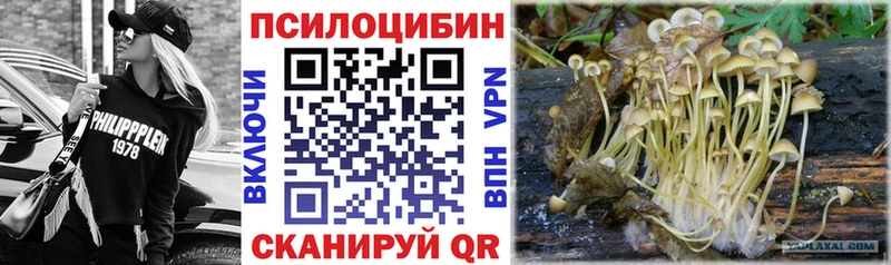 Галлюциногенные грибы Magic Shrooms Безенчук
